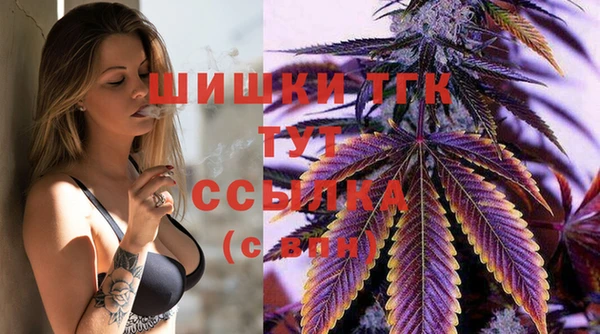 mix Гусиноозёрск