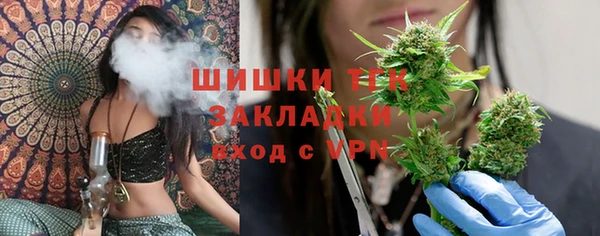 индика Навашино