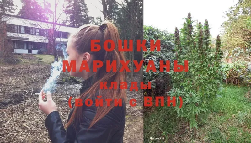 купить   кракен маркетплейс  Шишки марихуана SATIVA & INDICA  Макушино 